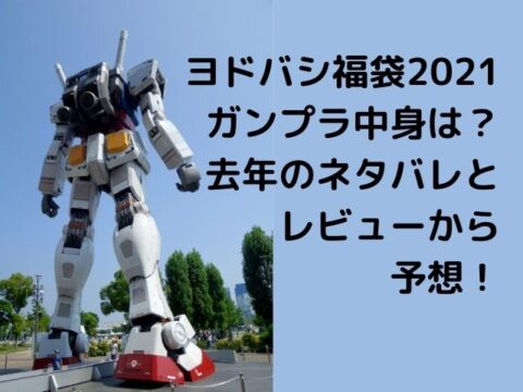 ヨドバシ福袋21ガンプラ中身は 去年のネタバレとレビューから予想