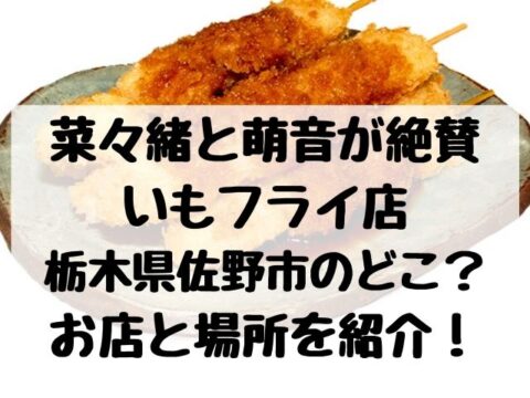 菜々緒と萌音絶賛いもフライ店は栃木県佐野市のどこ お店と場所を紹介