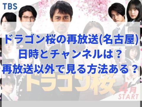 ドラゴン桜の再放送(名古屋)の日時はいつでチャンネルはどこ？他に見る方法はある？